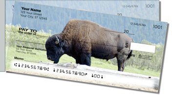 American Bison Side Tear Checks