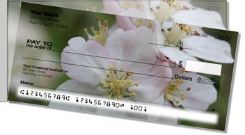 Apple Blossom Side Tear Design Checks