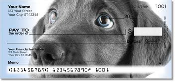 Black Lab Pup Personalized Checks