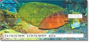 Blue Dot Grouper Checks
