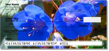 Blue Flower Checks