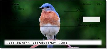 Bluebird Checks