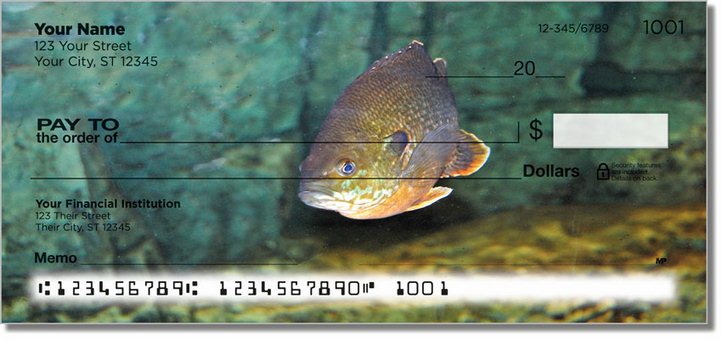 Bluegill Personal Checks
