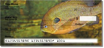 Bluegill Checks