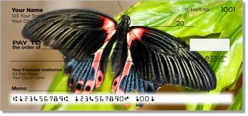 Butterfly and Moth Design Checks
