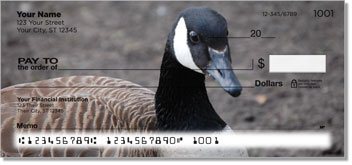 Canada Geese Checks