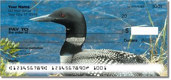 Common Loon Checks