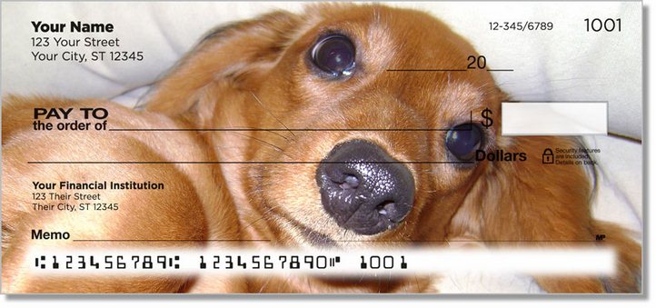 Dachshund Personal Checks