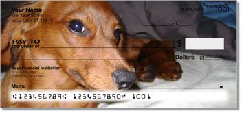 Dachshund Checks