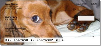 Dachshund Design Checks