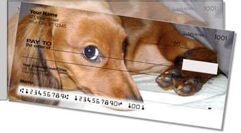 Dachshund Side Tear Design Checks