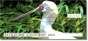 Exotic Bird Checks