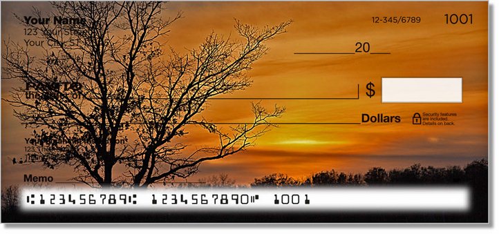 Filtered Ray Personal Checks