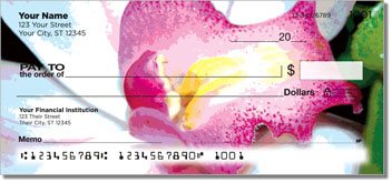 Flower Close Up Checks