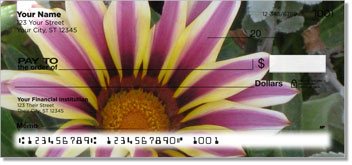 Flower Petal Design Checks