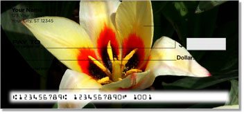 Flower Petal Personalized Checks