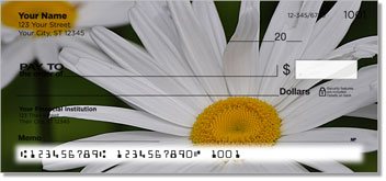 Gerber Daisy Personalized Checks