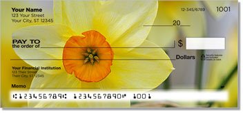 Golden Daffodil Checks