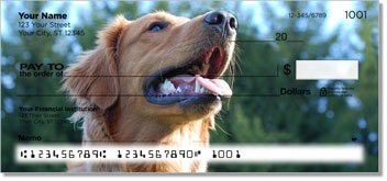 Golden Retriever Design Checks