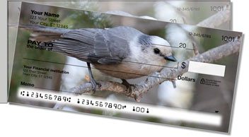 Gray Jay Bird Side Tear Personalized Checks