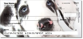 Great Dane Pup Checks