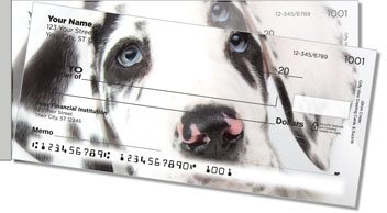 Great Dane Pup Side Tear Checks