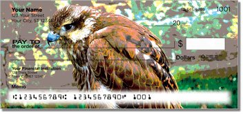 Hawk Design Checks