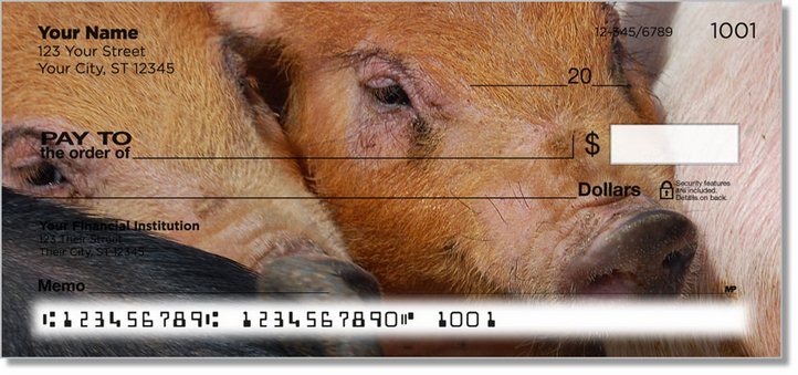 Hog Heaven Personal Checks