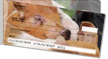 Hog Heaven Side Tear Checks