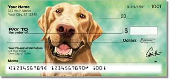 Labrador Retriever Checks