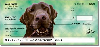 Labrador Retriever Design Checks