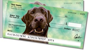 Labrador Retriever Side Tear Design Checks
