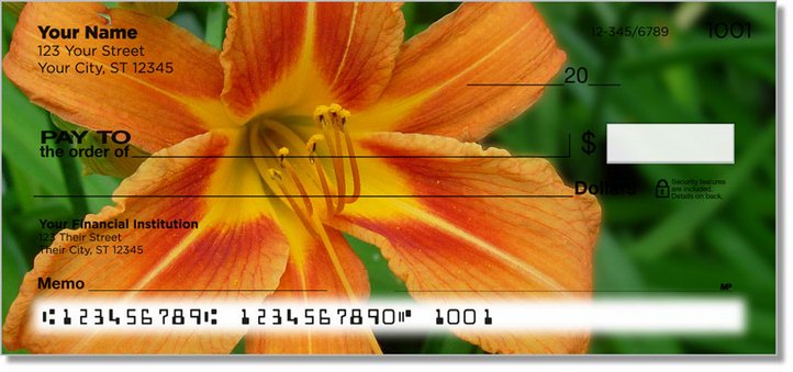 Lily Personal Checks