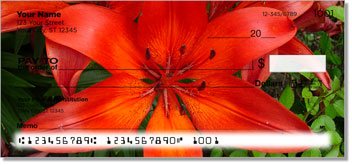 Lily Checks