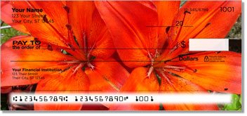 Lily Design Checks