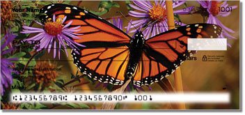 Milkweed Butterfly Checks