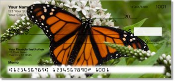 Monarch Butterfly Design Checks