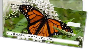 Monarch Butterfly Side Tear Design Checks