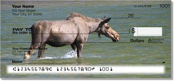 Moose Design Checks