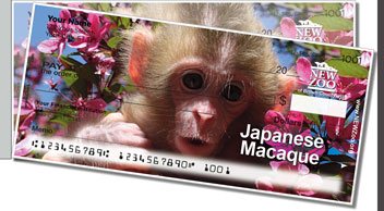 NEW Zoo Favorites Side Tear Design Checks