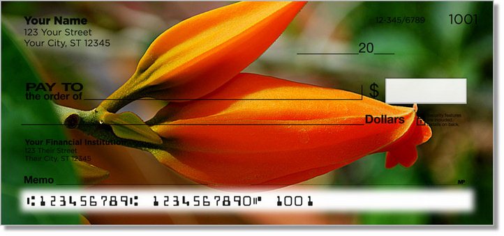 Orange Flower Personal Checks