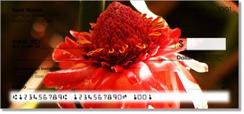 Orange Flower Design Checks