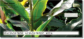 Palm Branch Personalized Checks