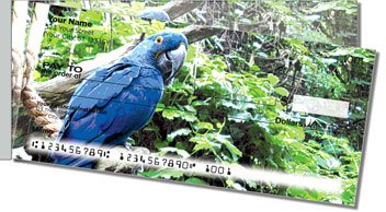 Parrot Side Tear Checks