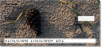 Patterns in the Sand Design Checks