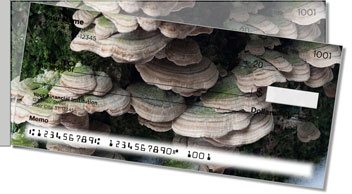 Patterns of Nature Side Tear Personalized Checks