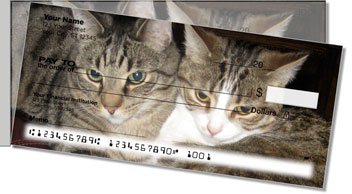 Pet Cat Side Tear Checks