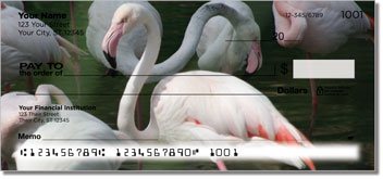Pink Flamingo Design Checks