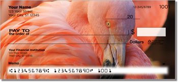 Pink Flamingo Personalized Checks