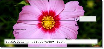 Pink Flower Checks